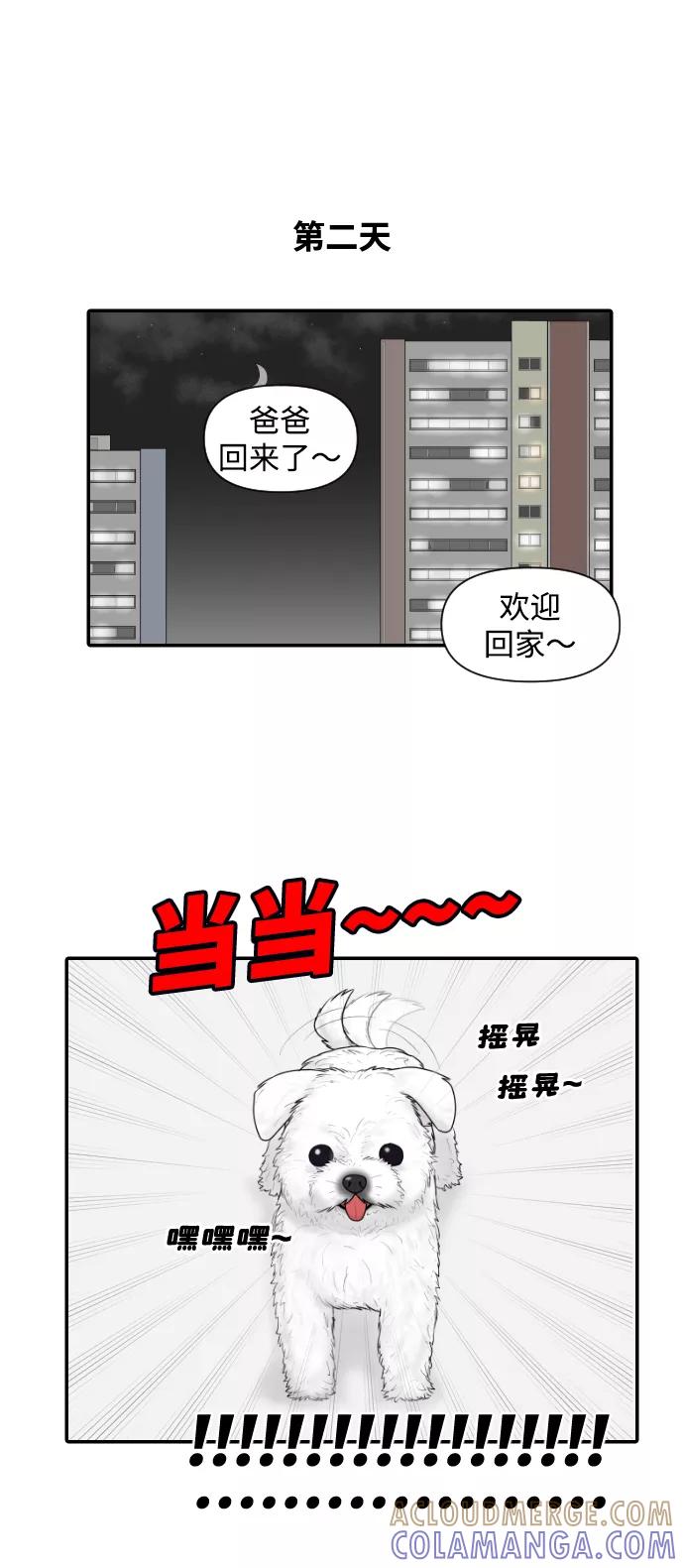 《内科朴院长》[第22话] 奥利维亚·格雷斯3世 第37页