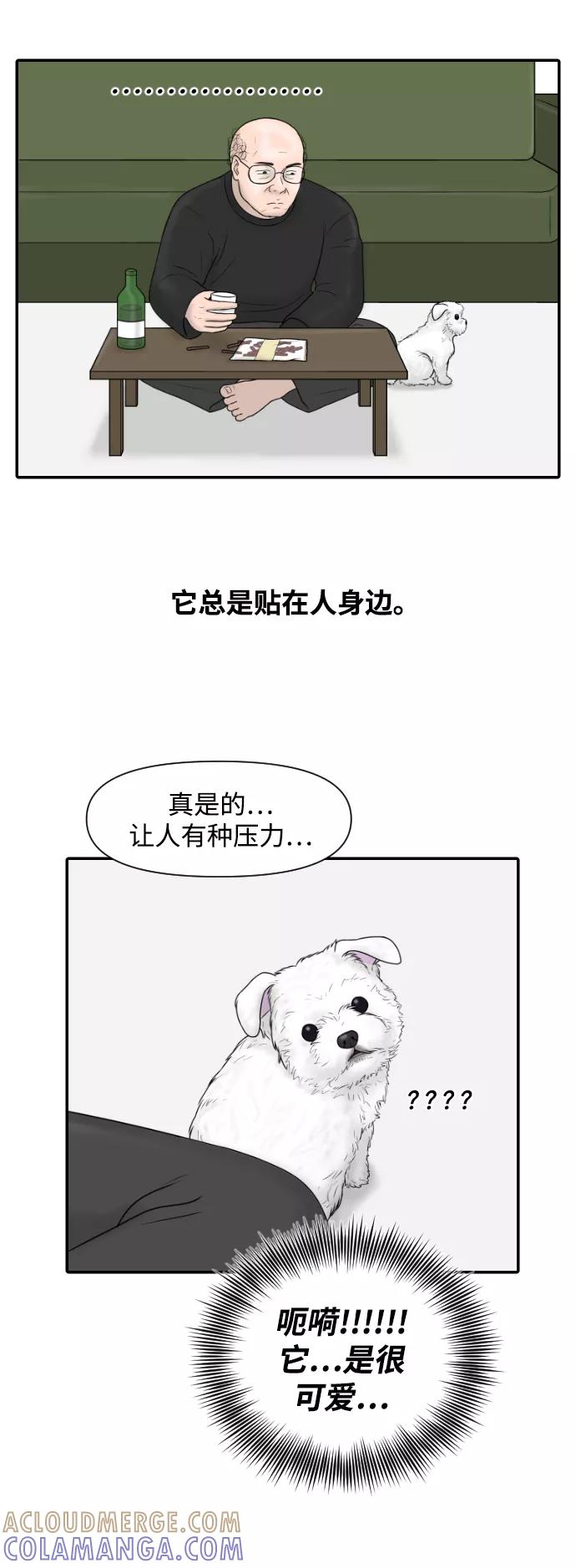 《内科朴院长》[第22话] 奥利维亚·格雷斯3世 第46页