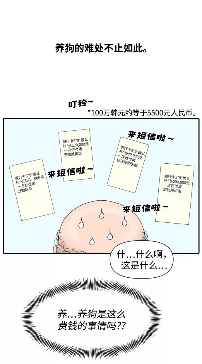 《内科朴院长》[第22话] 奥利维亚·格雷斯3世 第42页