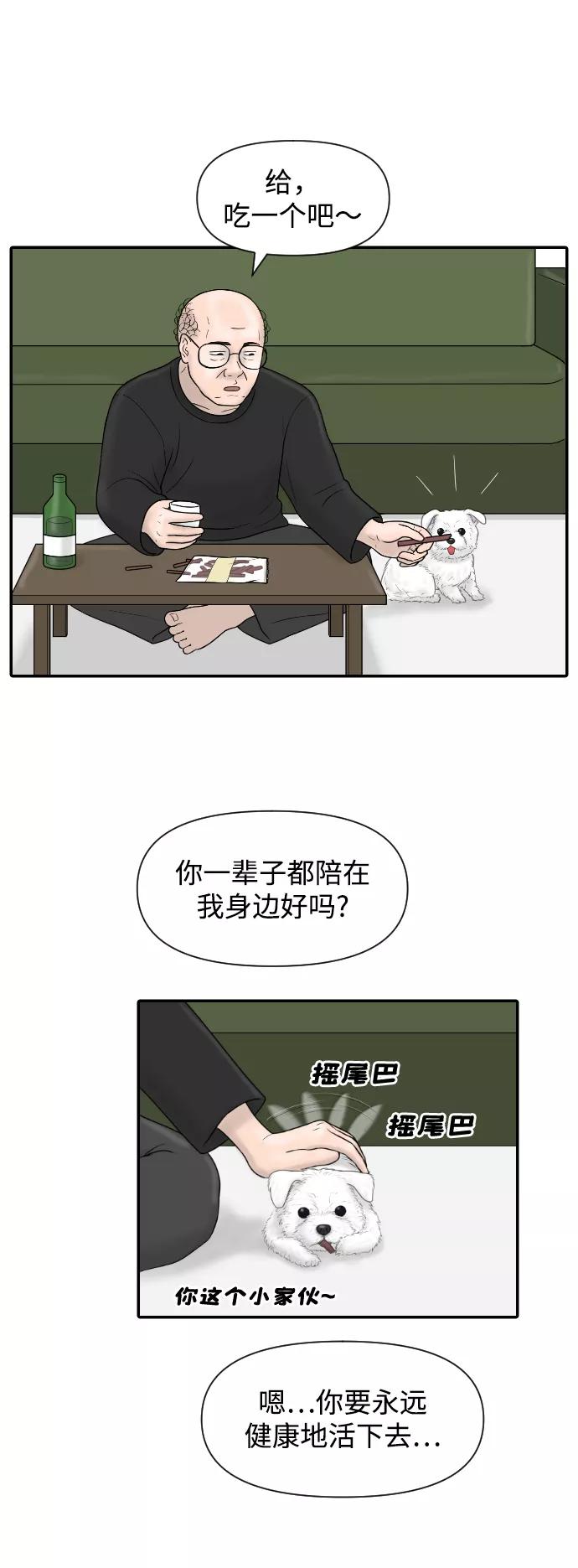 《内科朴院长》[第22话] 奥利维亚·格雷斯3世 第47页