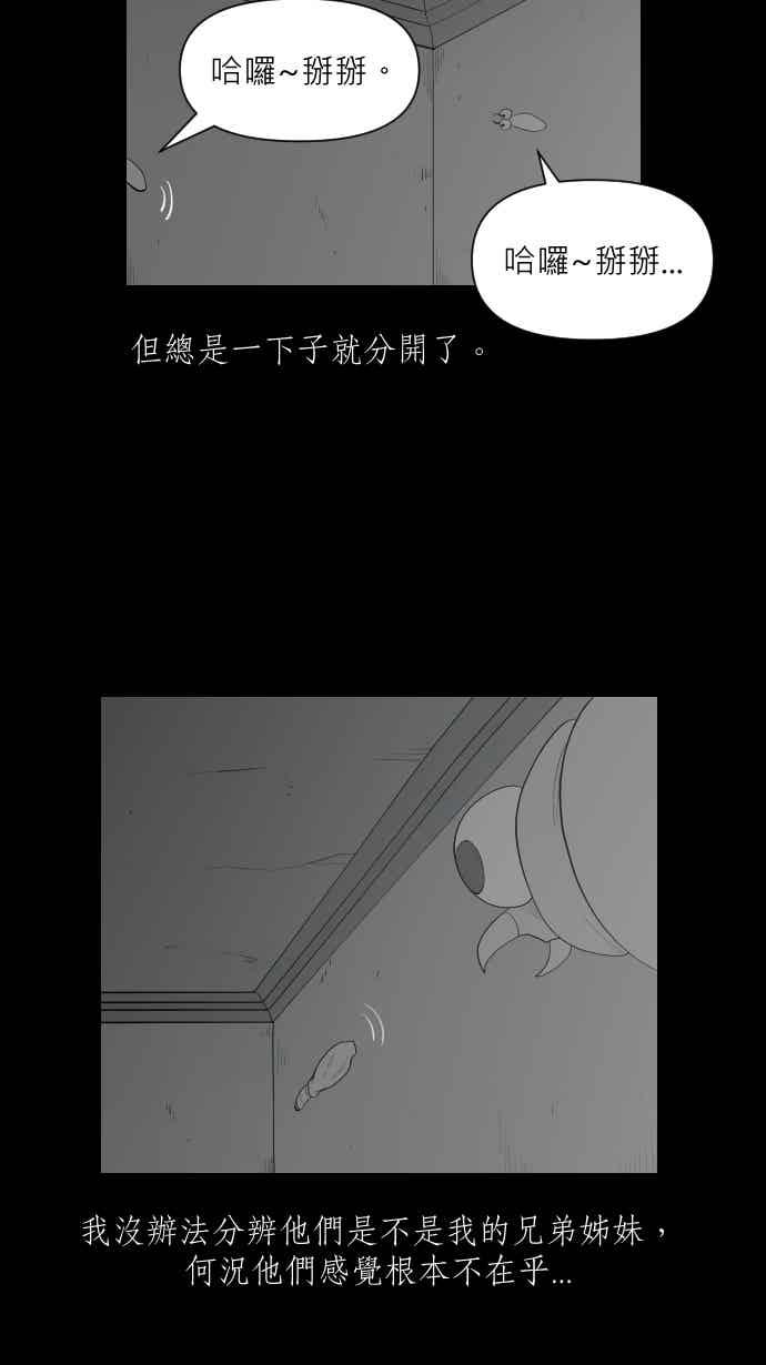 黑盒子 [354话] 奇蹟亭(1) 第16页
