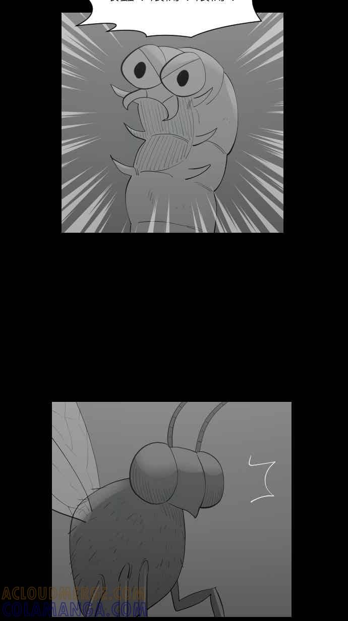 黑盒子 [354话] 奇蹟亭(1) 第27页