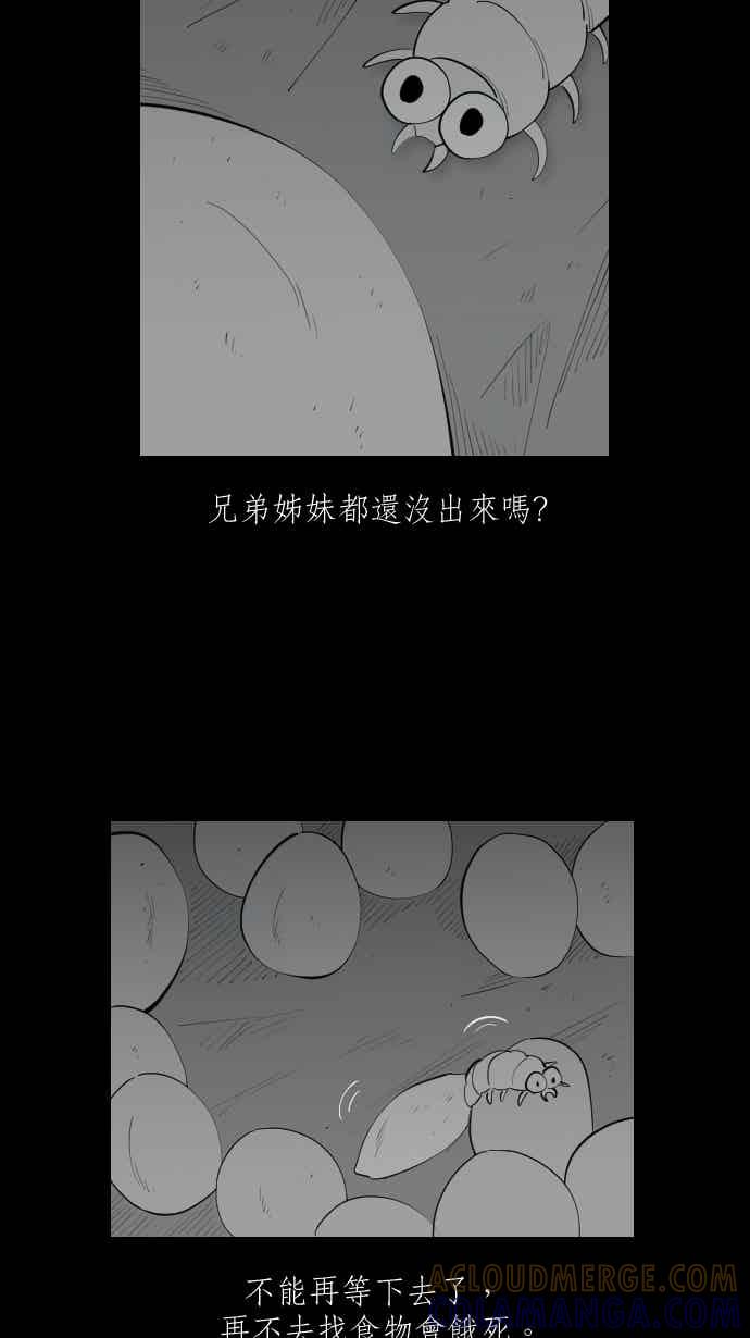 黑盒子 [354话] 奇蹟亭(1) 第11页