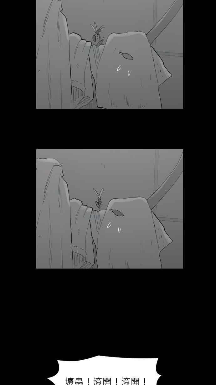 黑盒子 [354话] 奇蹟亭(1) 第26页
