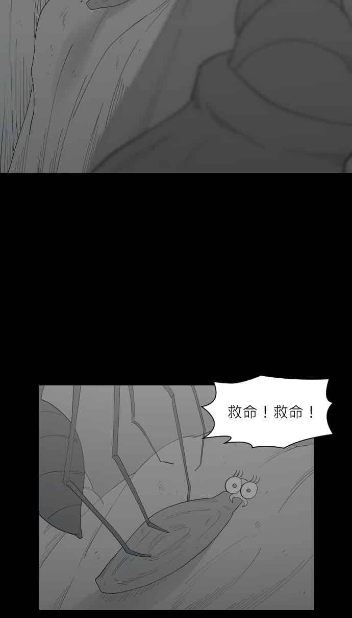 黑盒子 [354话] 奇蹟亭(1) 第24页