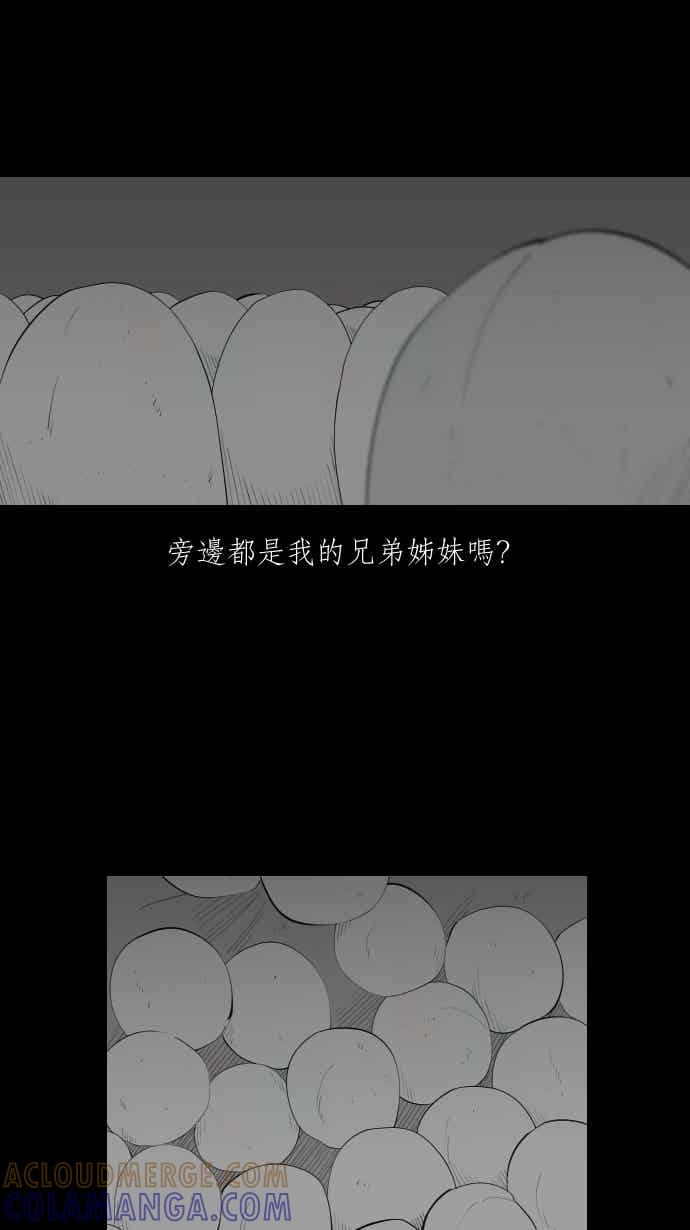 黑盒子 [354话] 奇蹟亭(1) 第3页