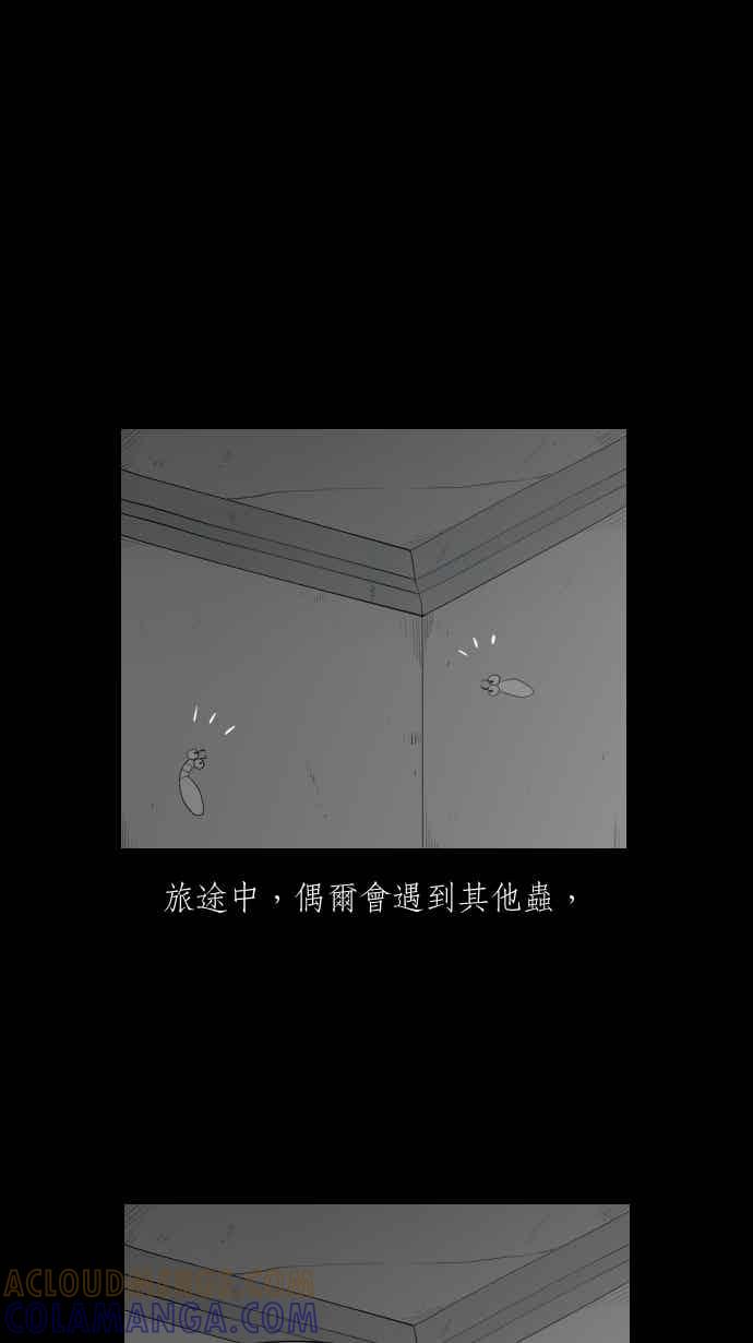 黑盒子 [354话] 奇蹟亭(1) 第15页