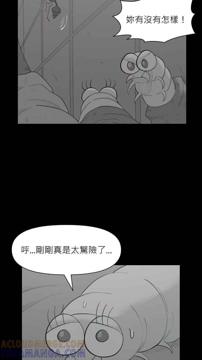 黑盒子 [354话] 奇蹟亭(1) 第29页