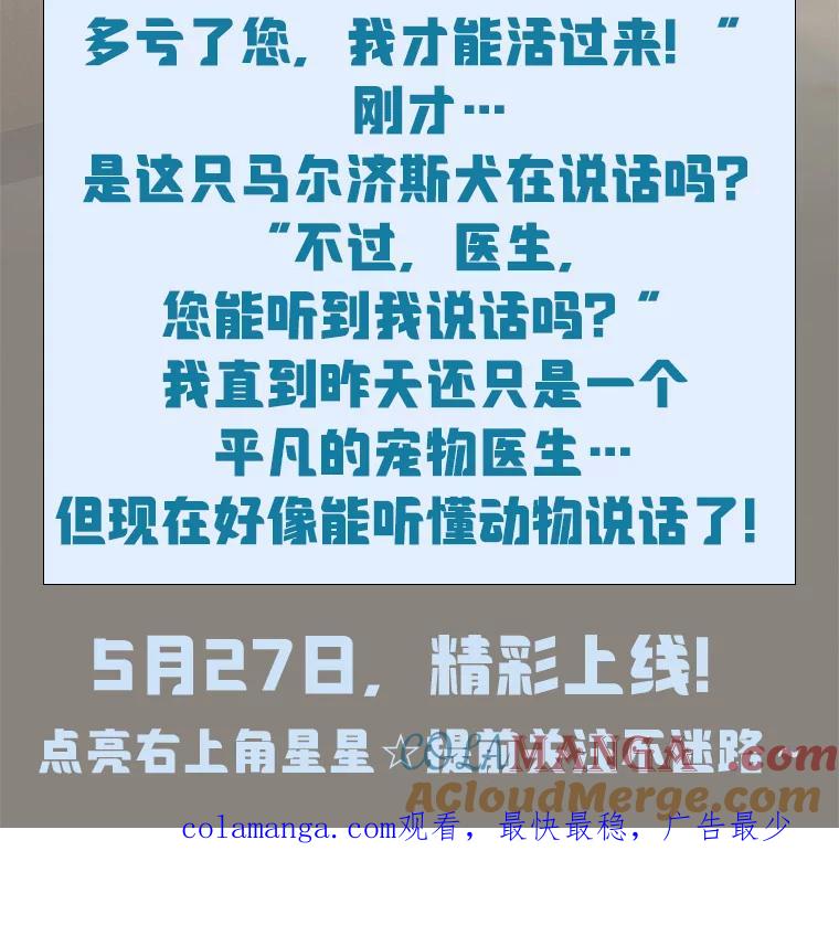 《你好？兽医先生！》新作来袭 第3页
