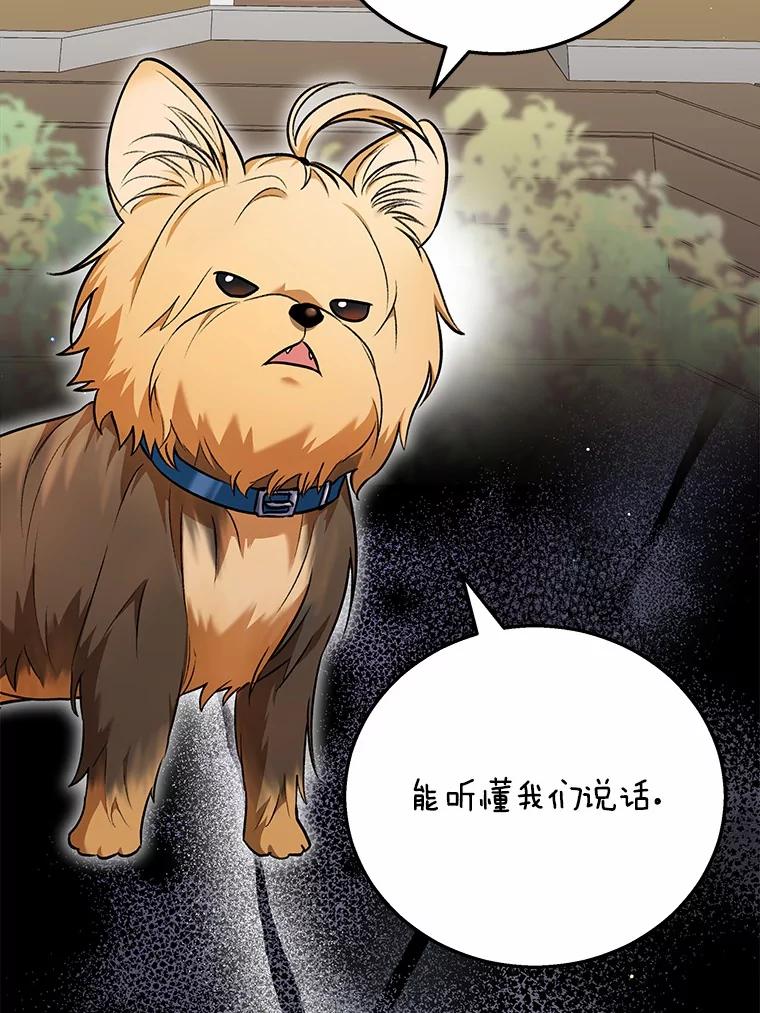 《你好？兽医先生！》1.梦中的礼物 第3页