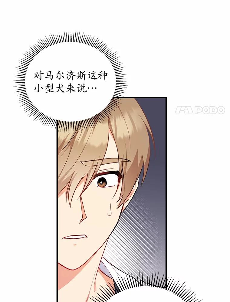 《你好？兽医先生！》1.梦中的礼物 第131页