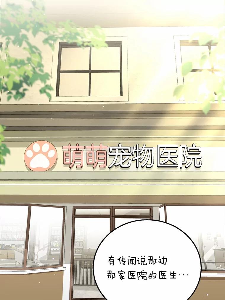 《你好？兽医先生！》1.梦中的礼物 第2页