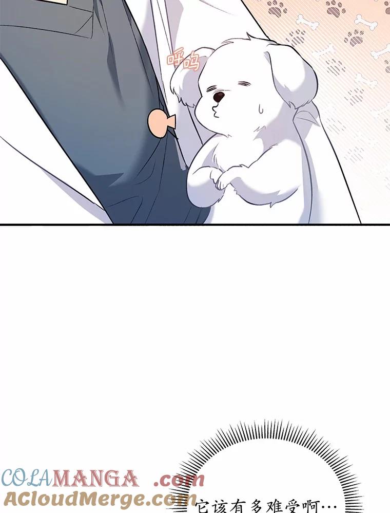 《你好？兽医先生！》1.梦中的礼物 第133页