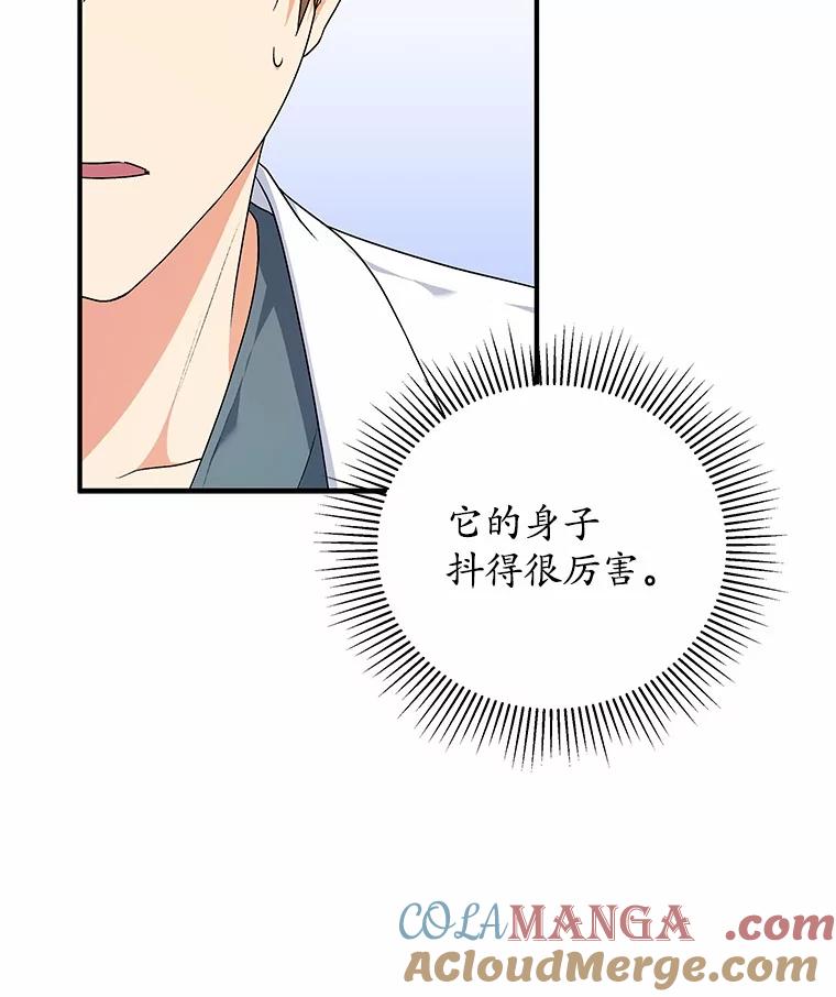 《你好？兽医先生！》1.梦中的礼物 第89页