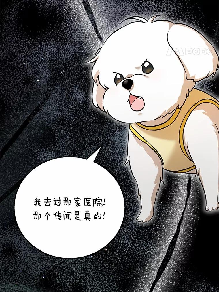 《你好？兽医先生！》1.梦中的礼物 第4页