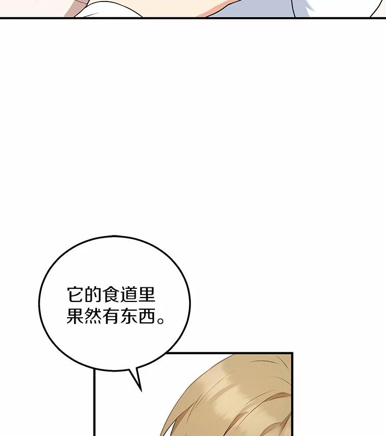 《你好？兽医先生！》1.梦中的礼物 第118页