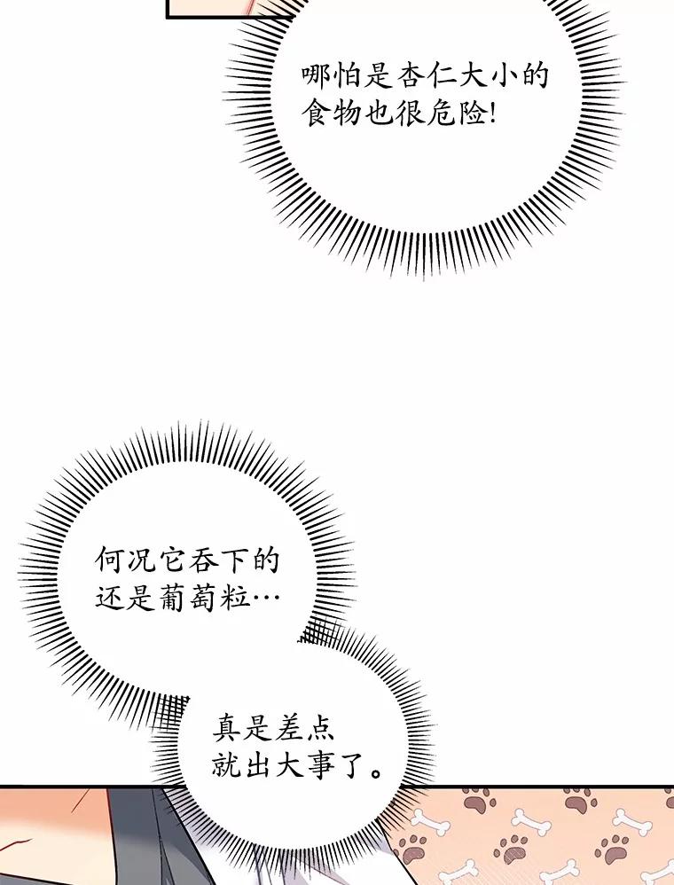 《你好？兽医先生！》1.梦中的礼物 第132页