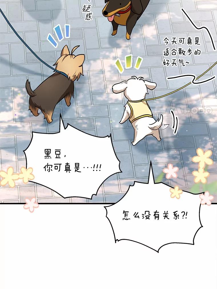 《你好？兽医先生！》1.梦中的礼物 第7页