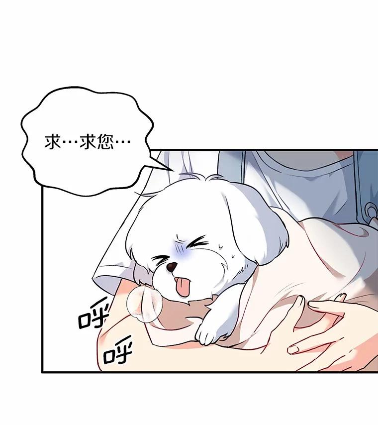 《你好？兽医先生！》1.梦中的礼物 第82页