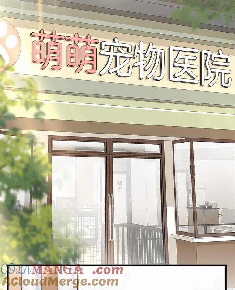 《你好？兽医先生！》1.梦中的礼物 第53页