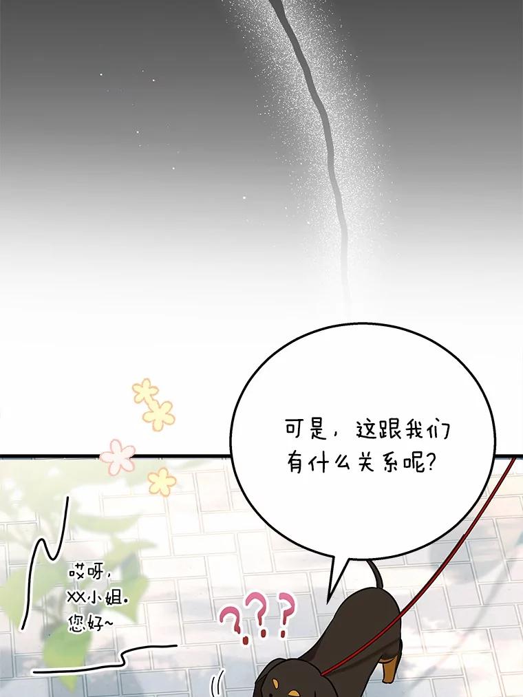 《你好？兽医先生！》1.梦中的礼物 第6页