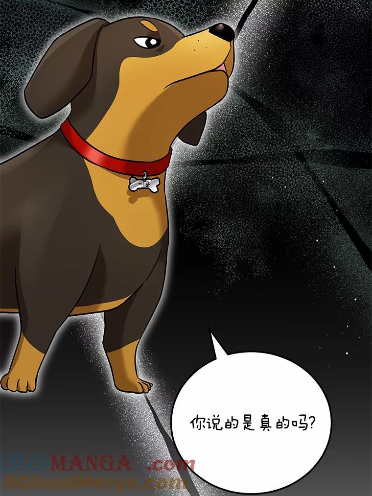 《你好？兽医先生！》1.梦中的礼物 第5页