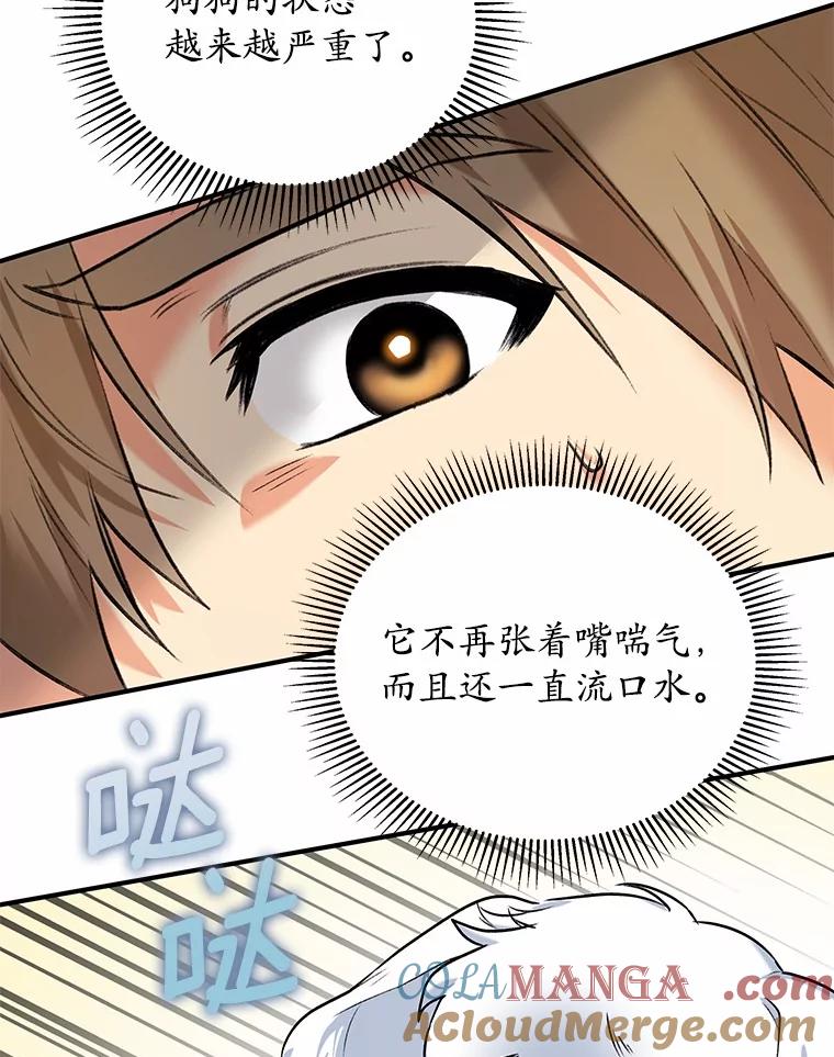《你好？兽医先生！》1.梦中的礼物 第97页