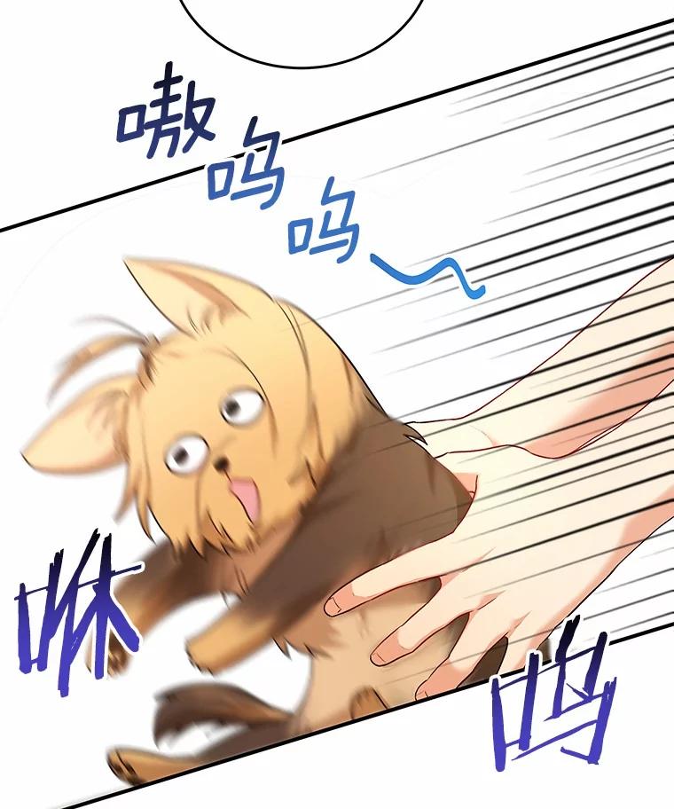 《你好？兽医先生！》2.感谢信 第87页