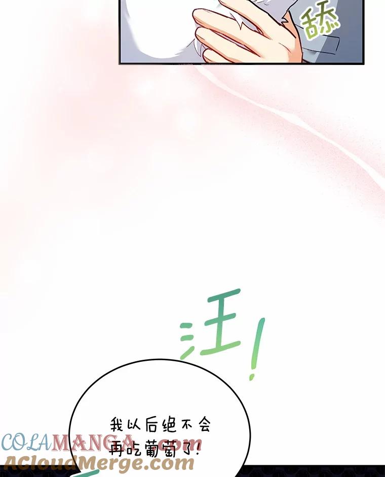 《你好？兽医先生！》2.感谢信 第17页