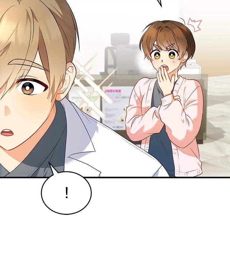 《你好？兽医先生！》2.感谢信 第139页