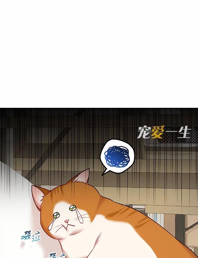 《你好？兽医先生！》2.感谢信 第31页