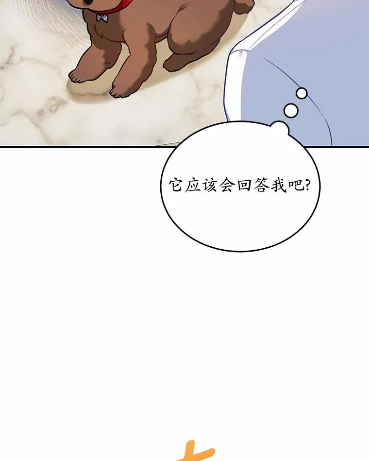 《你好？兽医先生！》3.生意火爆 第16页