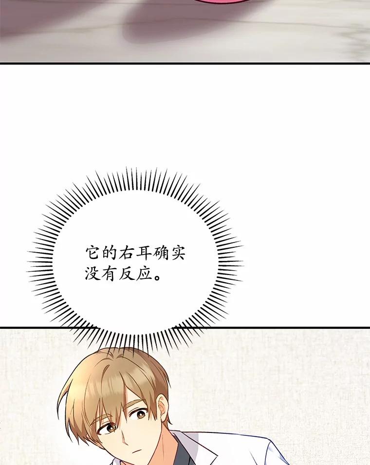 《你好？兽医先生！》3.生意火爆 第63页