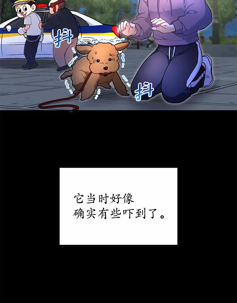 《你好？兽医先生！》3.生意火爆 第44页