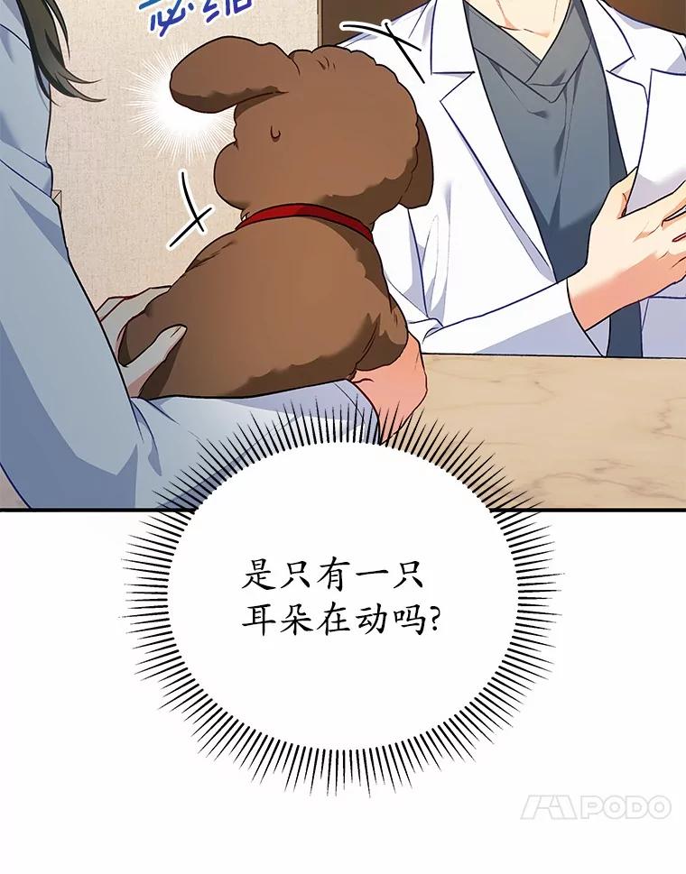 《你好？兽医先生！》3.生意火爆 第51页