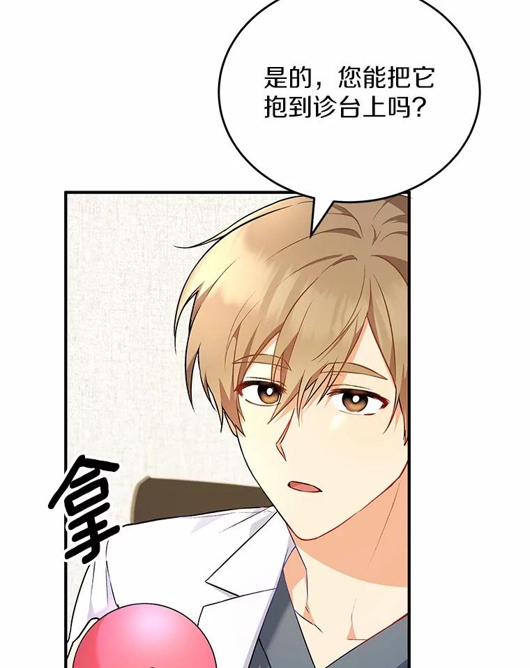 《你好？兽医先生！》3.生意火爆 第59页