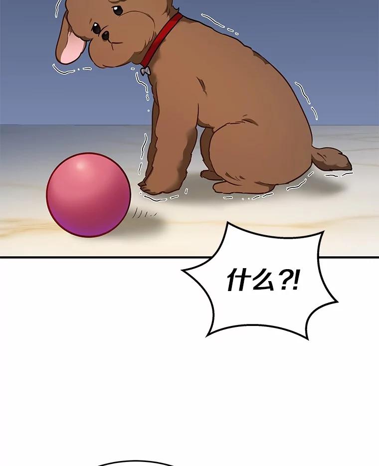 《你好？兽医先生！》3.生意火爆 第70页
