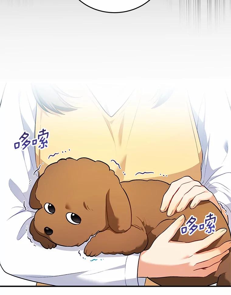《你好？兽医先生！》3.生意火爆 第46页