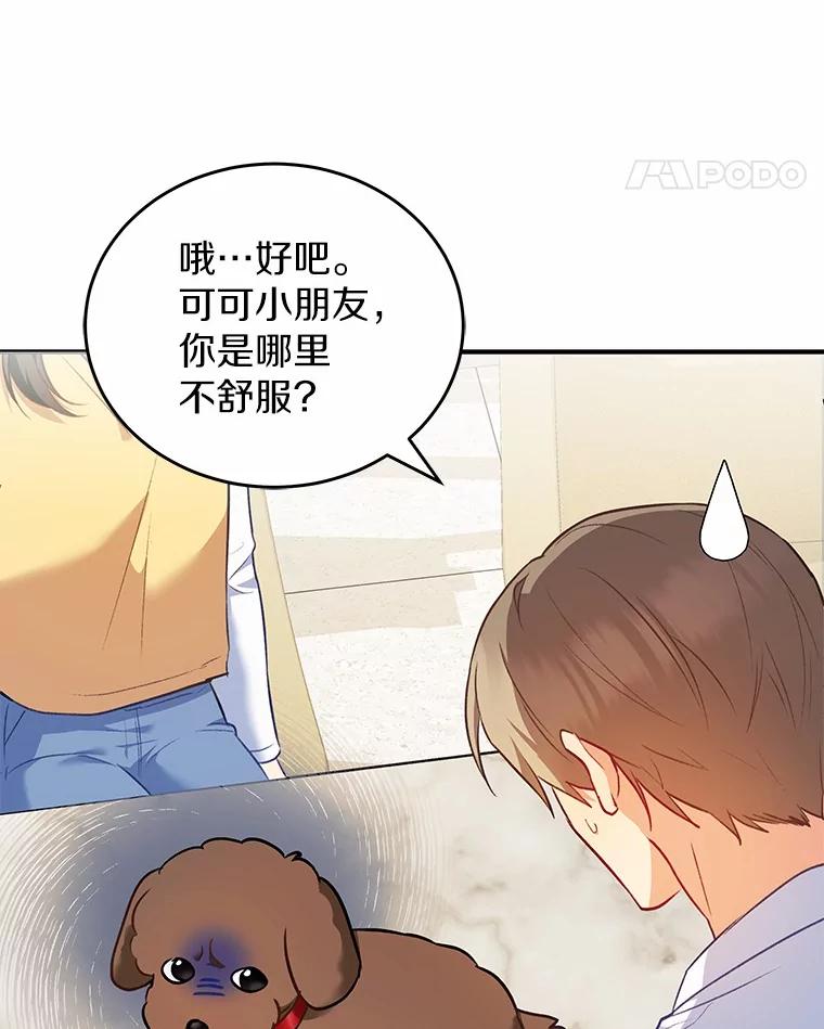 《你好？兽医先生！》3.生意火爆 第15页