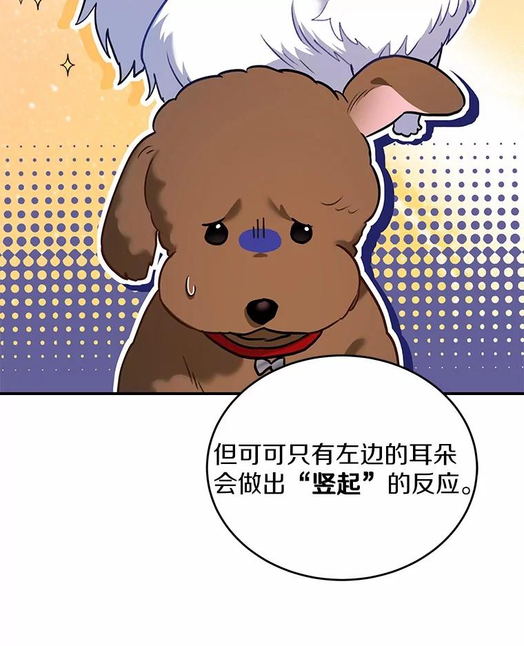 《你好？兽医先生！》3.生意火爆 第74页