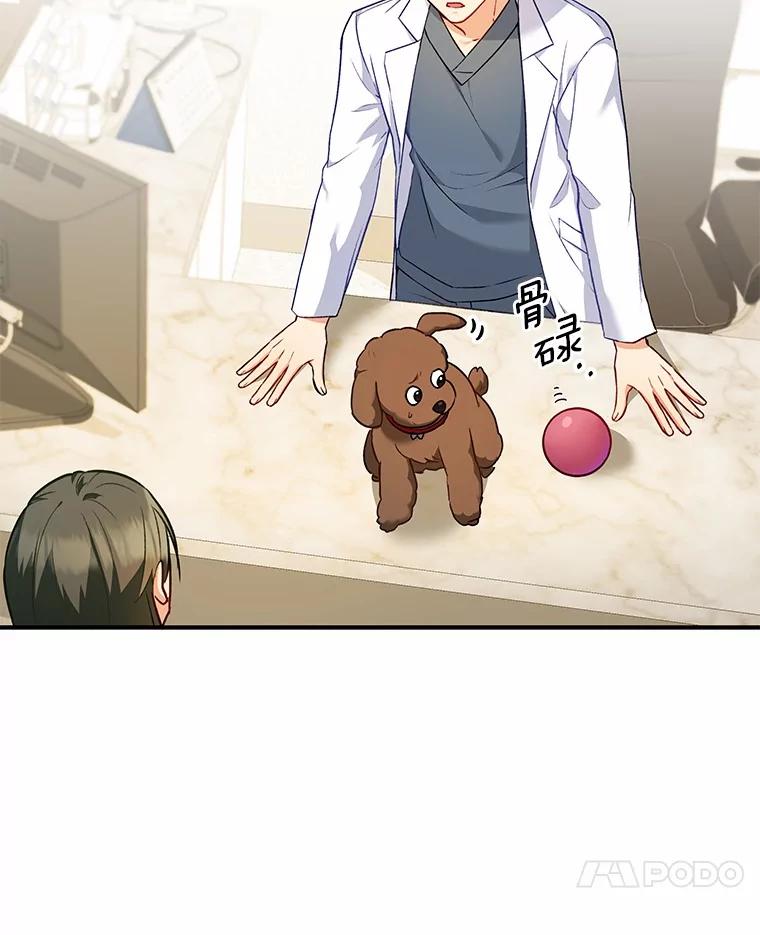 《你好？兽医先生！》3.生意火爆 第68页