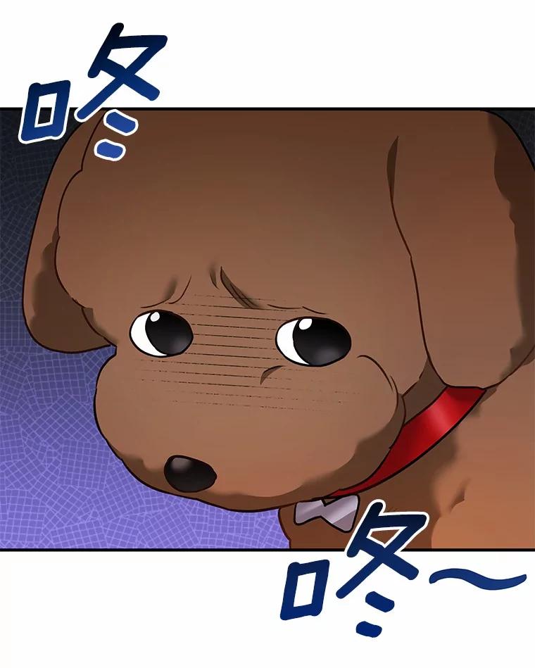 《你好？兽医先生！》3.生意火爆 第14页