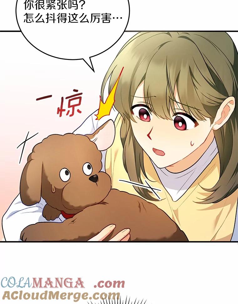 《你好？兽医先生！》3.生意火爆 第49页