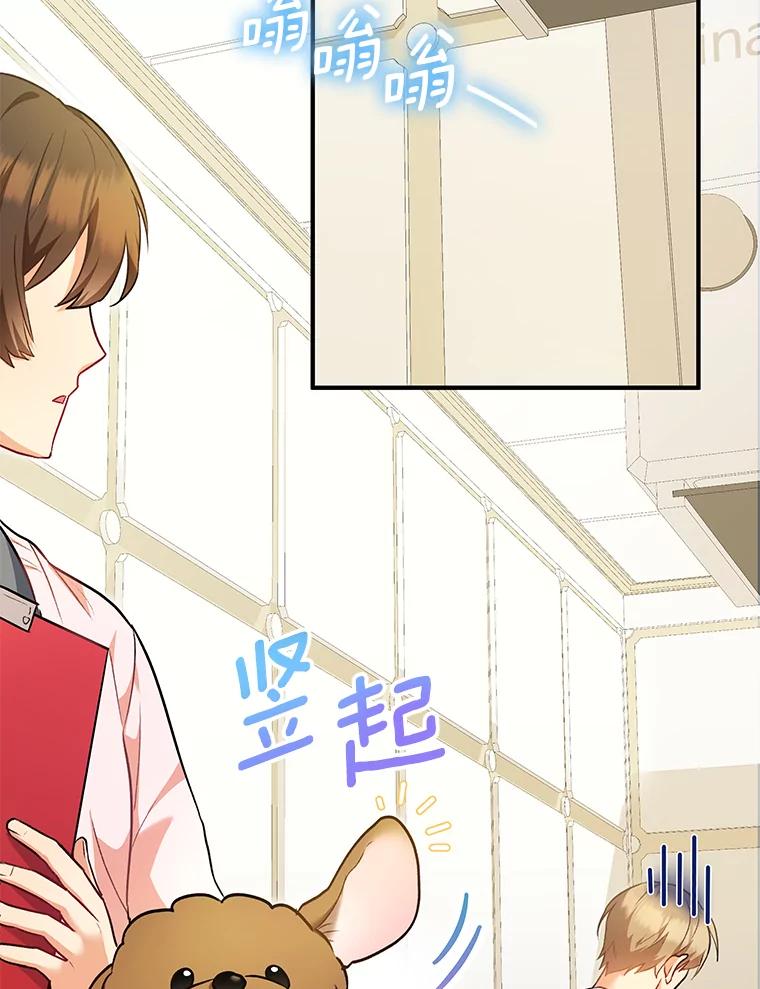 《你好？兽医先生！》3.生意火爆 第24页