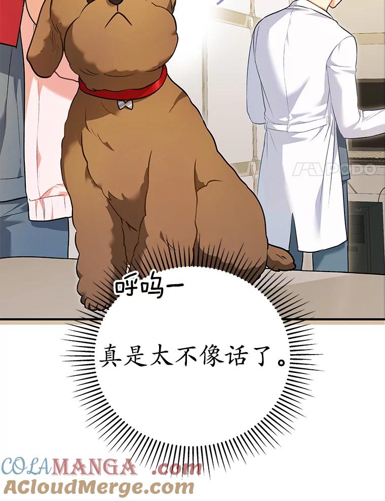 《你好？兽医先生！》3.生意火爆 第25页