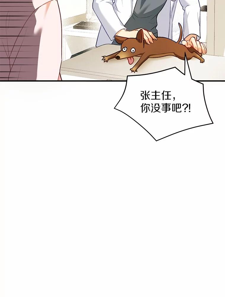 《你好？兽医先生！》3.生意火爆 第94页