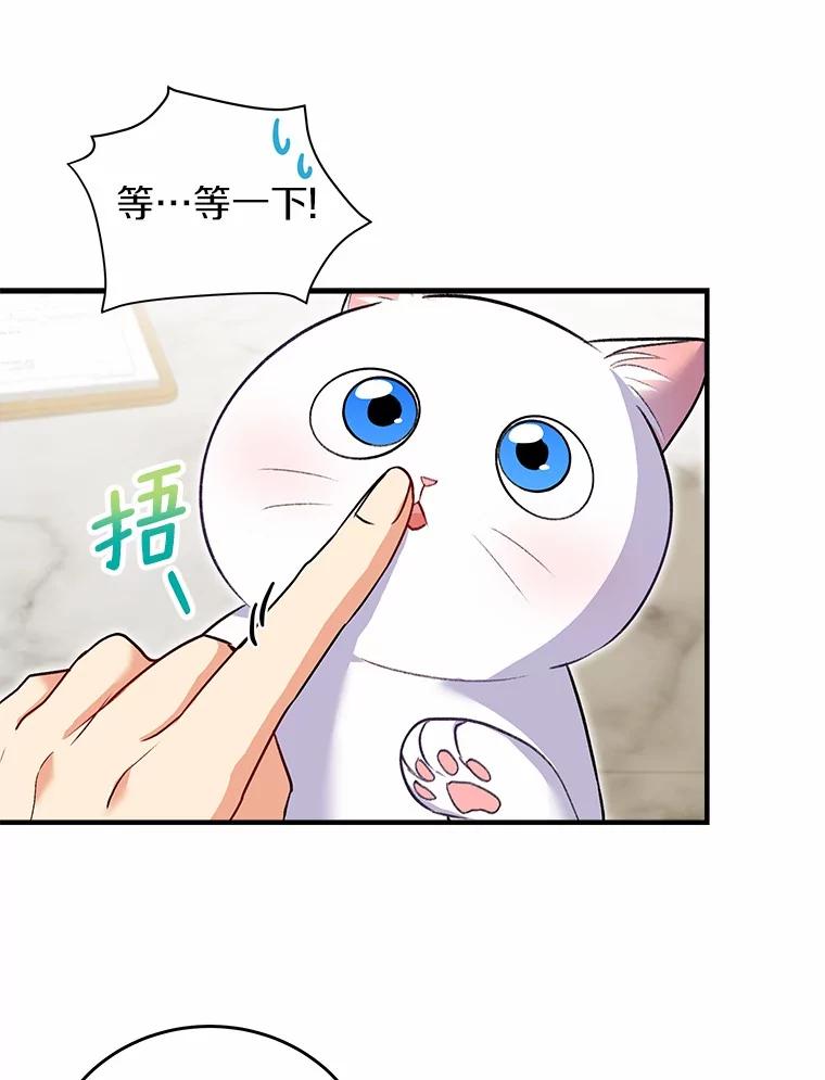 《你好？兽医先生！》4.豆腐 第76页