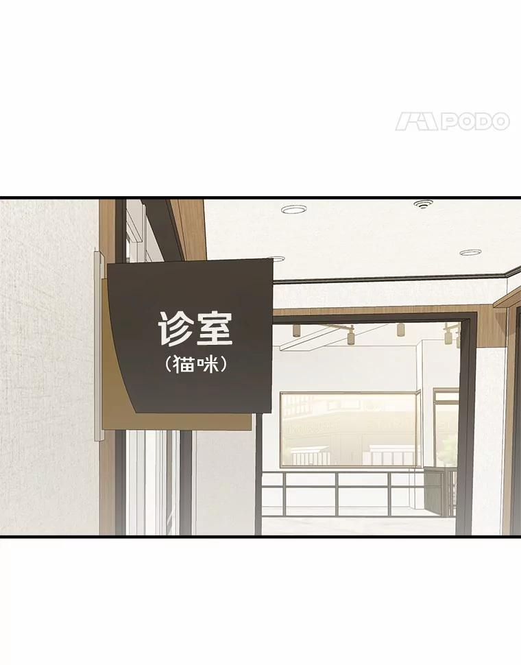 《你好？兽医先生！》4.豆腐 第34页