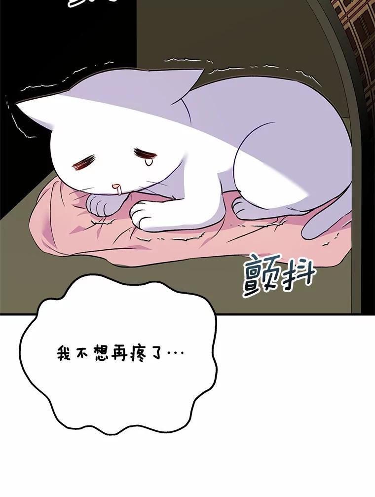 《你好？兽医先生！》4.豆腐 第52页