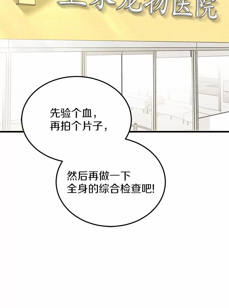 《你好？兽医先生！》4.豆腐 第8页